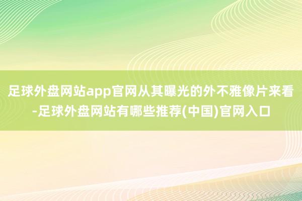 足球外盘网站app官网从其曝光的外不雅像片来看-足球外盘网站有哪些推荐(中国)官网入口