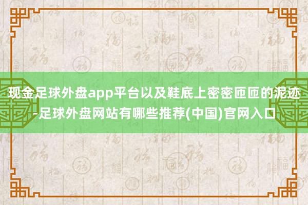 现金足球外盘app平台以及鞋底上密密匝匝的泥迹-足球外盘网站有哪些推荐(中国)官网入口