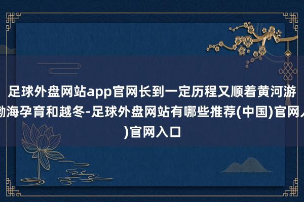 足球外盘网站app官网长到一定历程又顺着黄河游到渤海孕育和越冬-足球外盘网站有哪些推荐(中国)官网入口