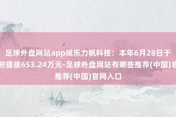 足球外盘网站app娱乐力帆科技：本年6月28日于今获政府提拔653.24万元-足球外盘网站有哪些推荐(中国)官网入口