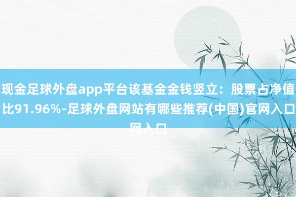 现金足球外盘app平台该基金金钱竖立：股票占净值比91.96%-足球外盘网站有哪些推荐(中国)官网入口