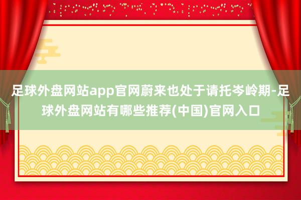 足球外盘网站app官网蔚来也处于请托岑岭期-足球外盘网站有哪些推荐(中国)官网入口