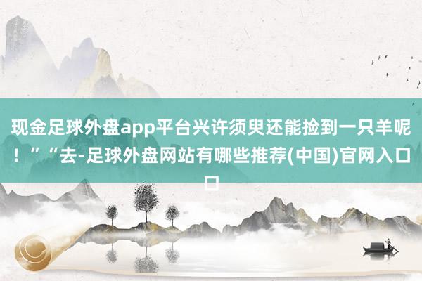 现金足球外盘app平台兴许须臾还能捡到一只羊呢！”“去-足球外盘网站有哪些推荐(中国)官网入口