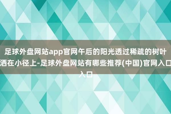 足球外盘网站app官网午后的阳光透过稀疏的树叶洒在小径上-足球外盘网站有哪些推荐(中国)官网入口