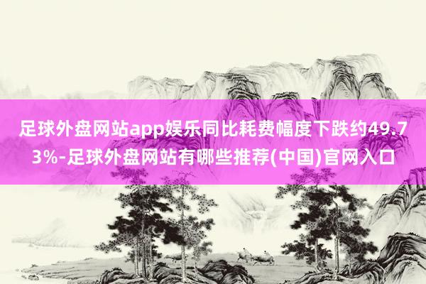 足球外盘网站app娱乐同比耗费幅度下跌约49.73%-足球外盘网站有哪些推荐(中国)官网入口