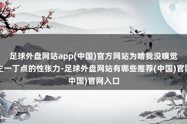 足球外盘网站app(中国)官方网站为啥我没嗅觉到男主一丁点的性张力-足球外盘网站有哪些推荐(中国)官网入口