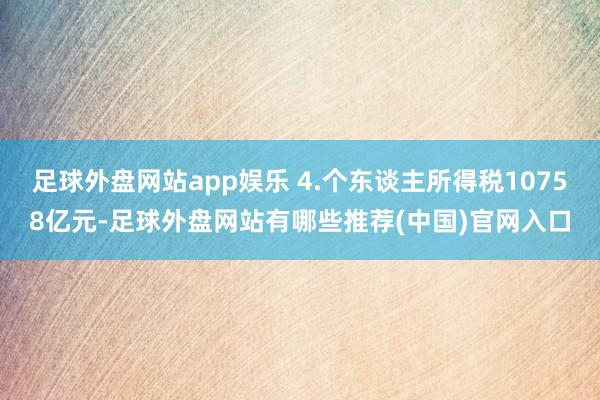 足球外盘网站app娱乐 4.个东谈主所得税10758亿元-足球外盘网站有哪些推荐(中国)官网入口