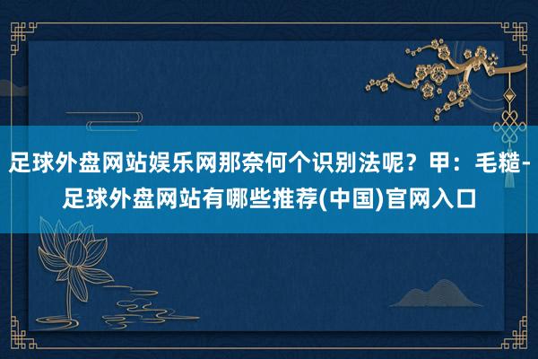 足球外盘网站娱乐网那奈何个识别法呢？甲：毛糙-足球外盘网站有哪些推荐(中国)官网入口