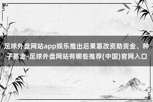 足球外盘网站app娱乐推出后果篡改资助资金、种子基金-足球外盘网站有哪些推荐(中国)官网入口