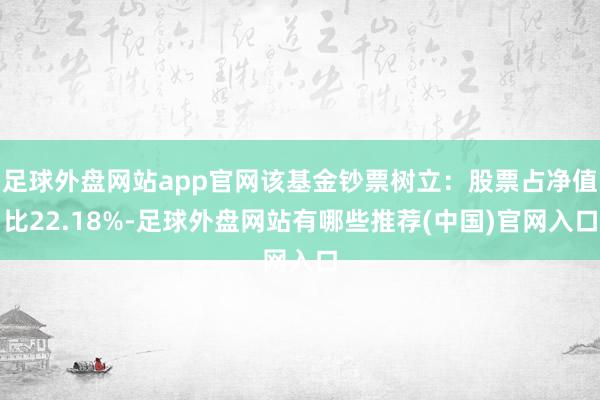 足球外盘网站app官网该基金钞票树立：股票占净值比22.18%-足球外盘网站有哪些推荐(中国)官网入口