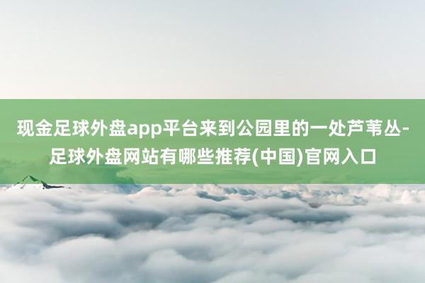 现金足球外盘app平台来到公园里的一处芦苇丛-足球外盘网站有哪些推荐(中国)官网入口