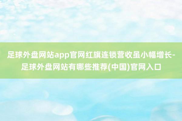 足球外盘网站app官网红旗连锁营收虽小幅增长-足球外盘网站有哪些推荐(中国)官网入口